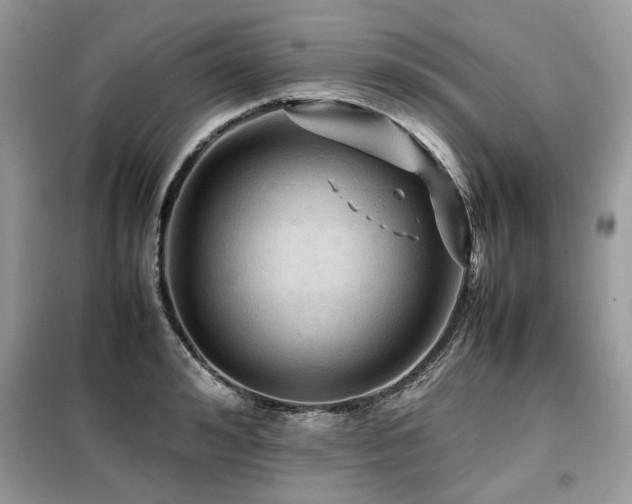 X0000099410992200805091215