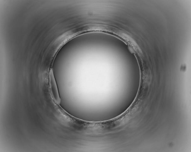 X0000099410993200805091215