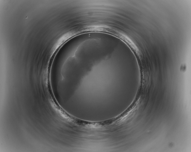 X0000099410994200805091215