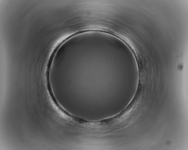 X0000099410995200805091215