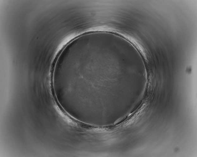 X0000099410998200805091215