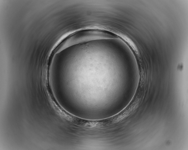 X0000099411000200805091215