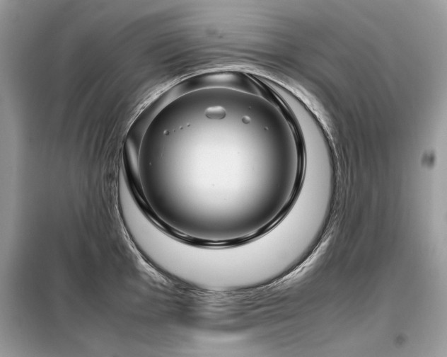 X0000099411001200805091215