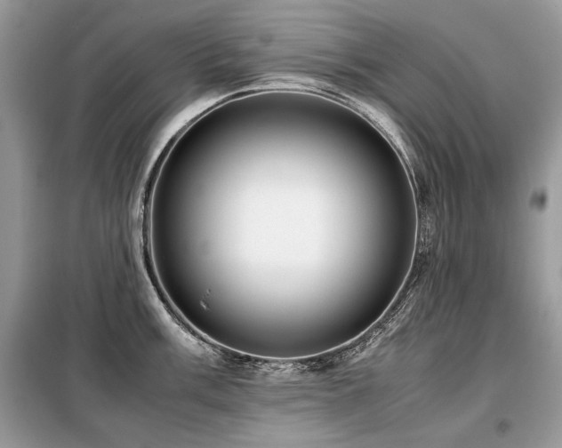 X0000099411003200805091215