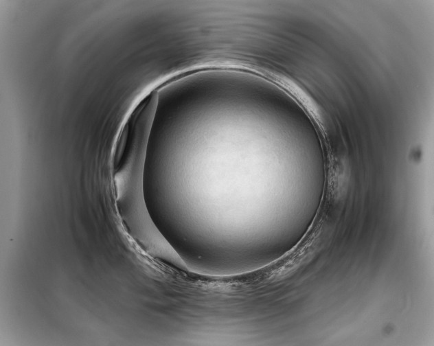 X0000099411004200805091215