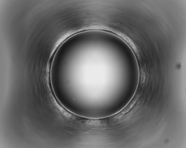 X0000099411006200805091215