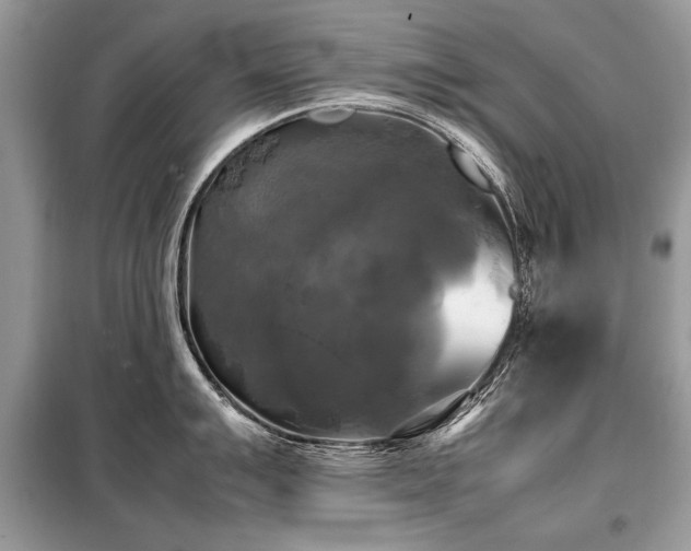 X0000099411007200805091215