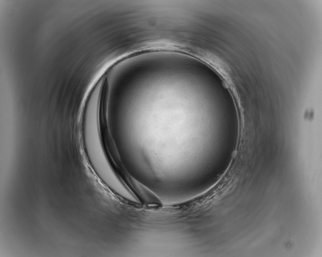 X0000099411008200805091215