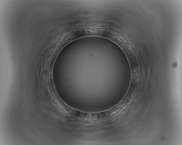 X0000099411009200805091214