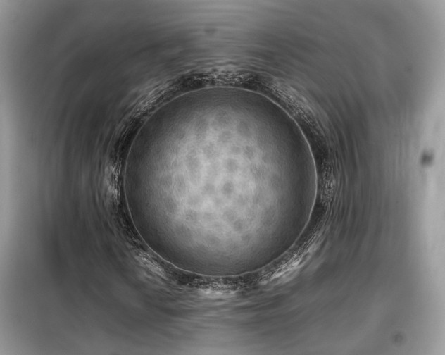 X0000099411010200805091214