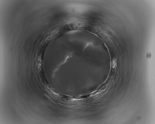 X0000099411011200805091214