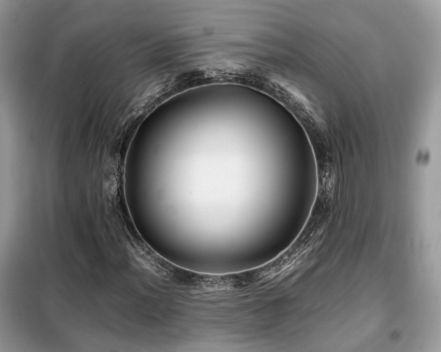X0000099411012200805091214