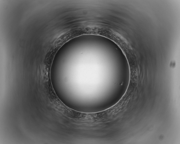 X0000099411013200805091214