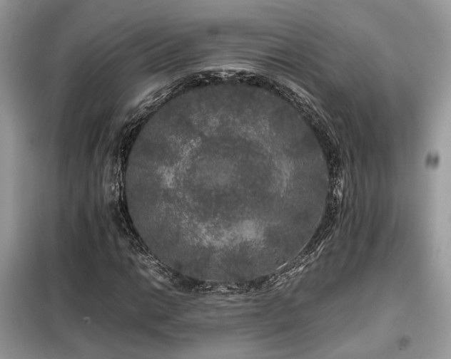 X0000099411014200805091214