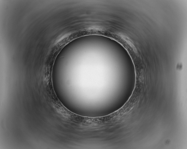 X0000099411015200805091214