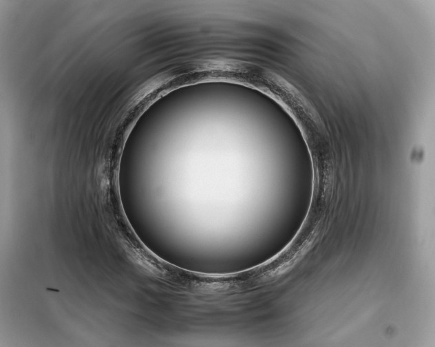 X0000099411017200805091214