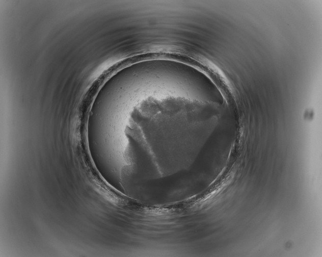 X0000099411019200805091214