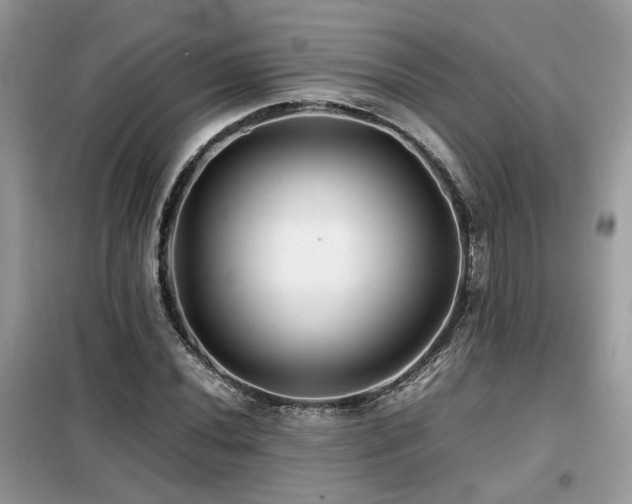 X0000099411020200805091214