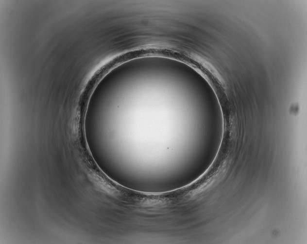 X0000099411021200805091214