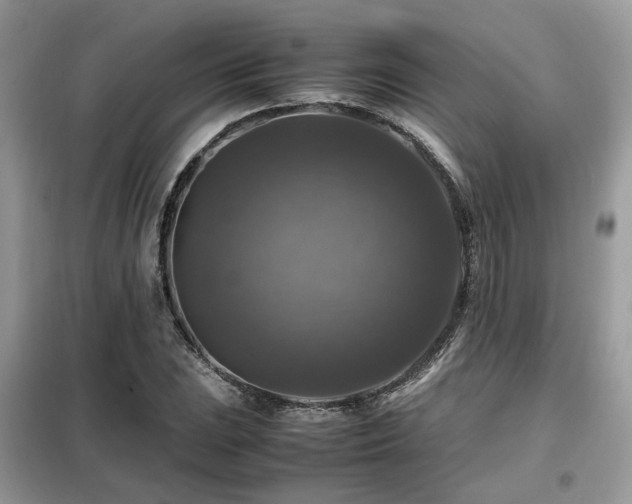 X0000099411023200805091214
