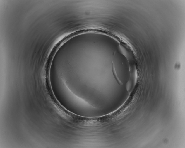 X0000099411024200805091214