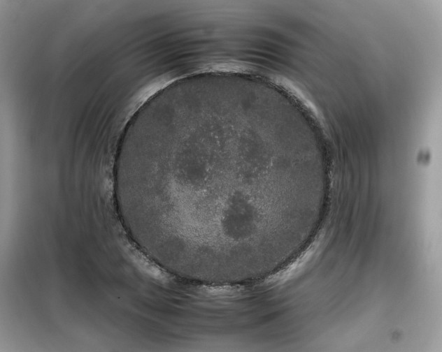 X0000099411025200805091214