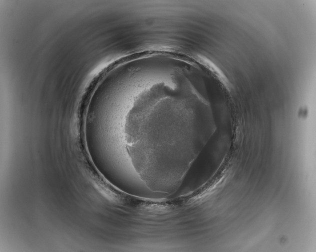 X0000099411027200805091214