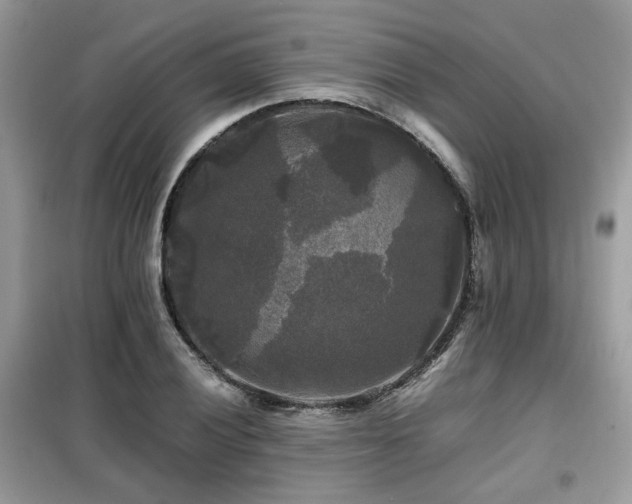 X0000099411028200805091214