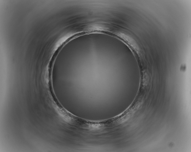 X0000099411031200805091214