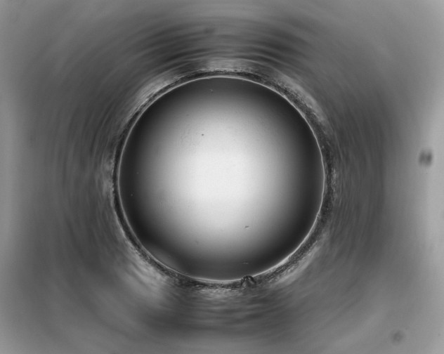 X0000099411033200805091214