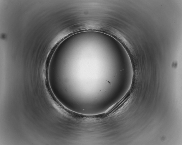 X0000099411034200805091214