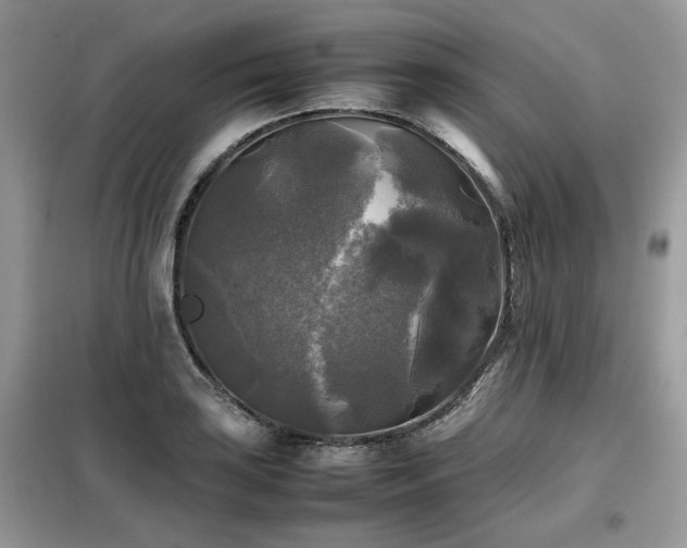 X0000099411035200805091214