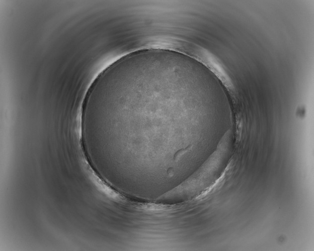 X0000099411036200805091214