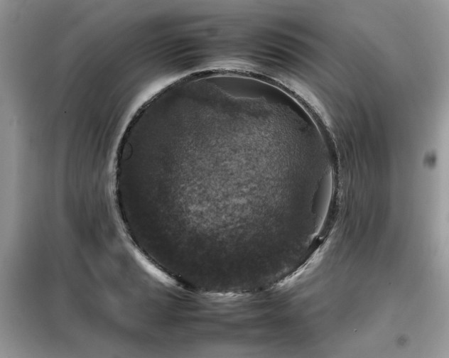 X0000099411037200805091214