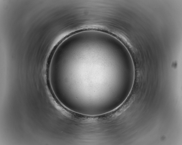 X0000099411038200805091214