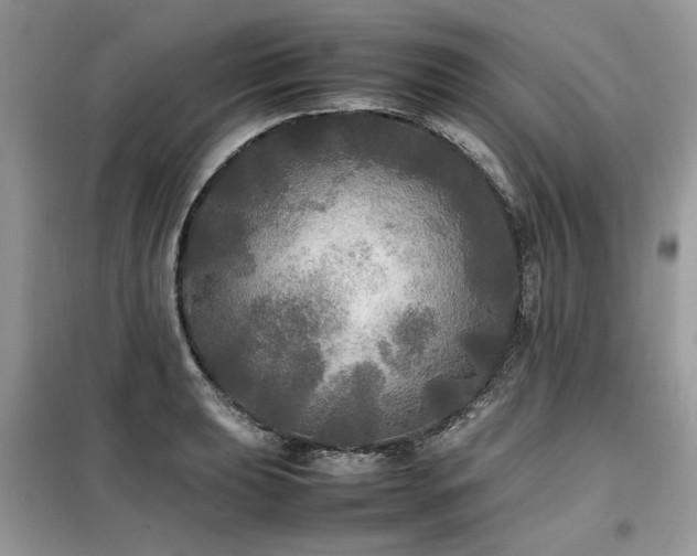 X0000099411039200805091214