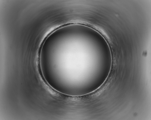 X0000099411040200805091214