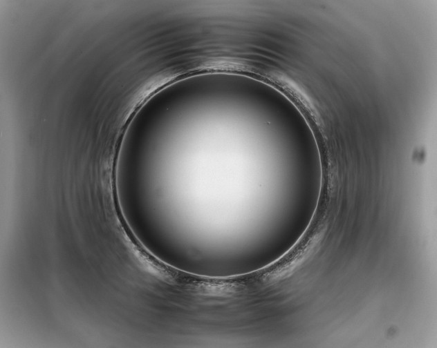 X0000099411041200805091214