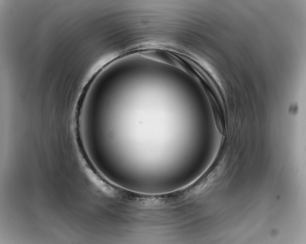 X0000099411042200805091215