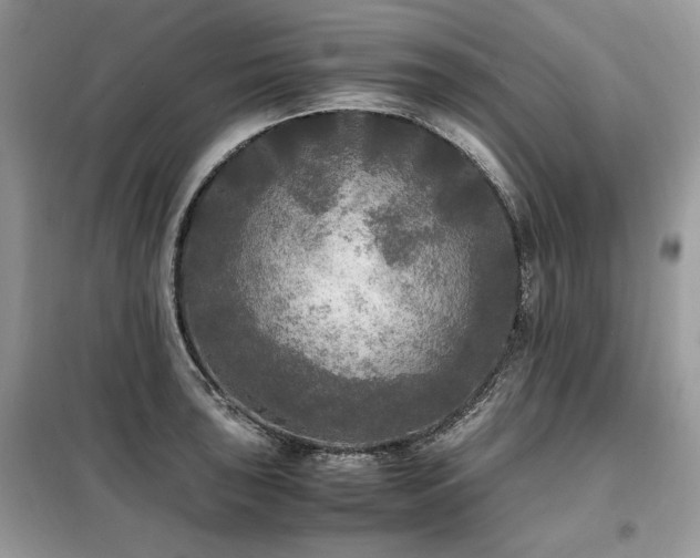 X0000099411043200805091215