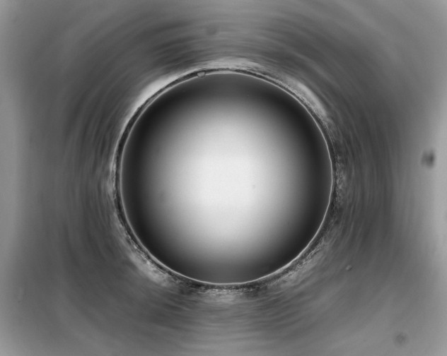 X0000099411044200805091215