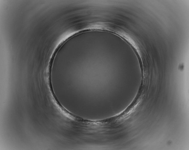 X0000099411045200805091215