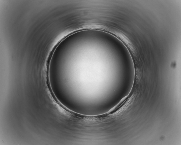 X0000099411046200805091215