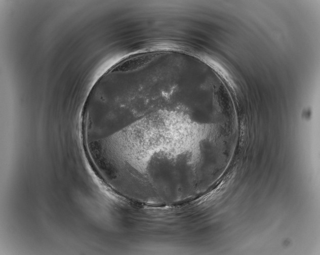 X0000099411047200805091215