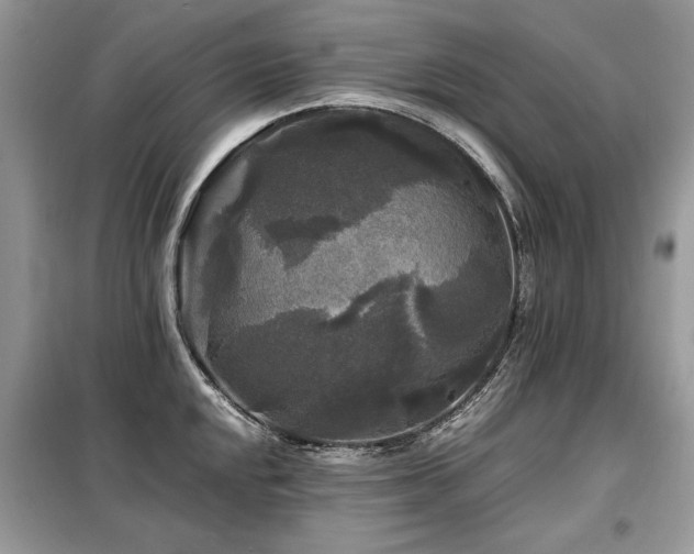X0000099411048200805091215