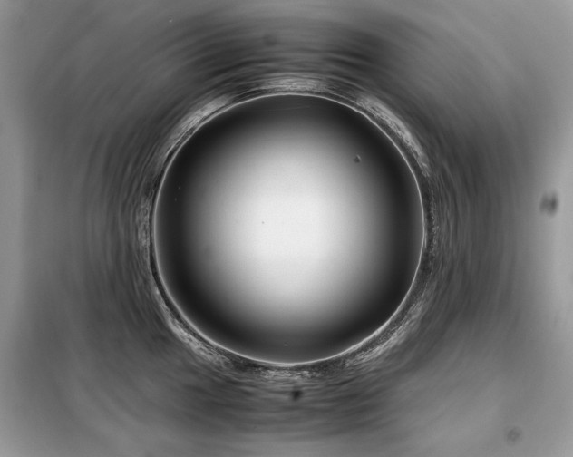 X0000099411049200805091215