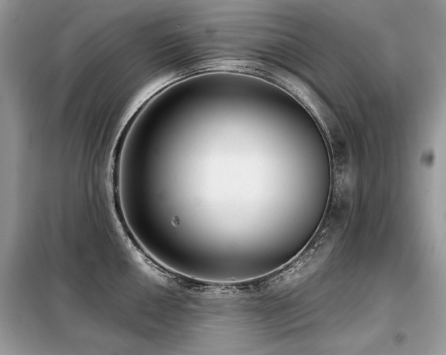 X0000099411050200805091215