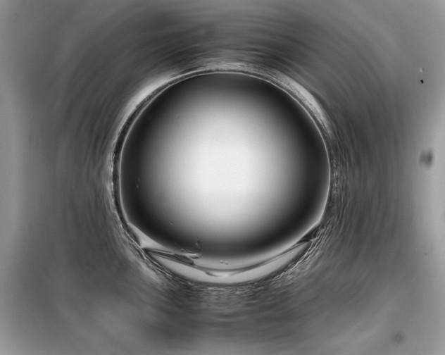 X0000099411051200805091215
