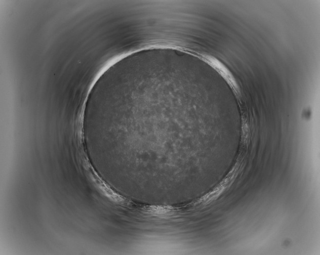 X0000099411052200805091215