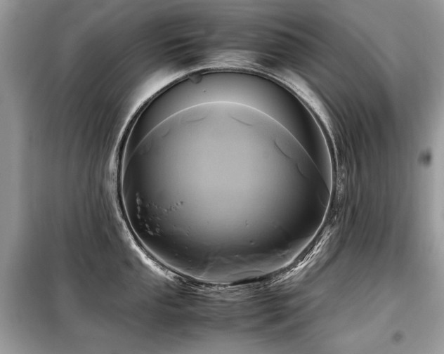 X0000099411053200805091215